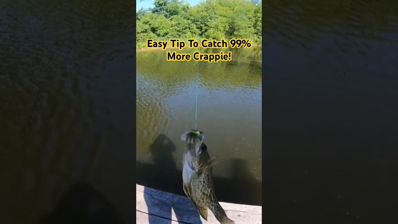 This Tip Makes Crappie Fishing 99% MORE SIMPLE!