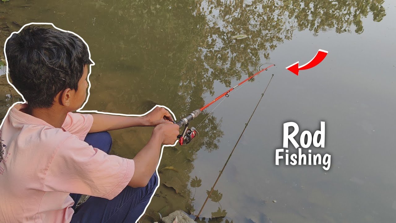 Amazing Hook Fishing - Village Hook Fishing Moments #fishingbyhook #safanafishing #fishingmethods