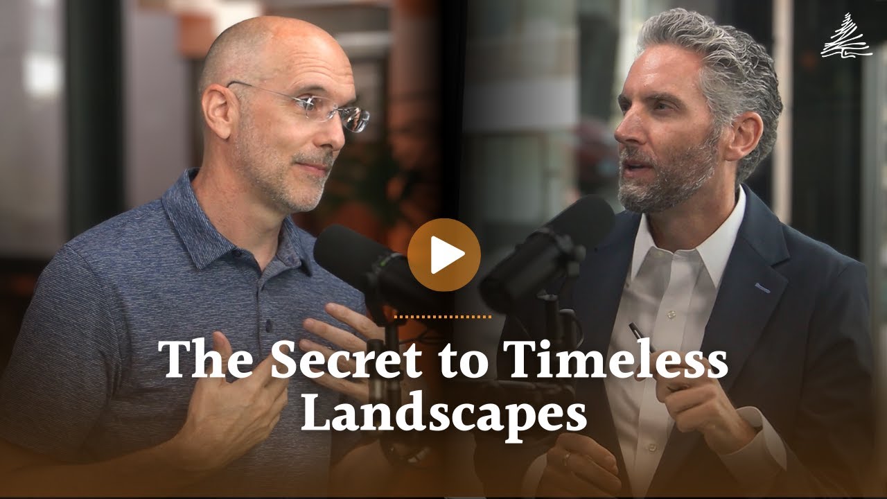 The Secret to Timeless Landscapes 🌿✨