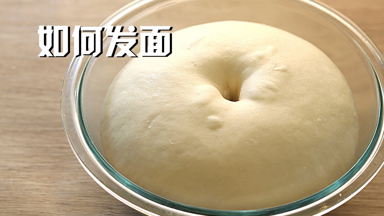 如何发面 超详细教程教你如何成功发面 看完就知道为什么你总发面失败了 How to make a fermented dough