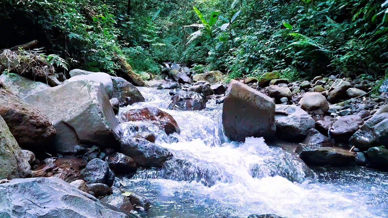 Gentle River Flow for Bedtime Meditation