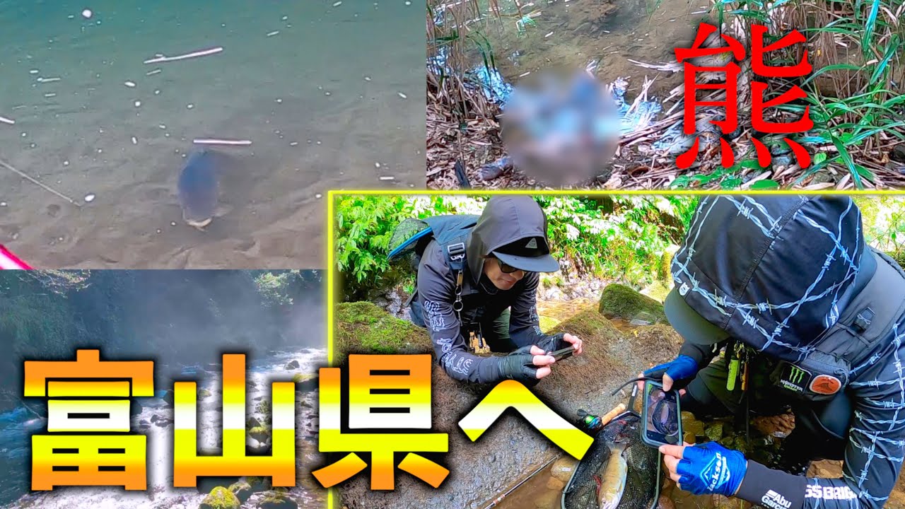 【富山県渓流釣り】1泊２日で兄弟コンビと尺ヤマメを狙え！！！
