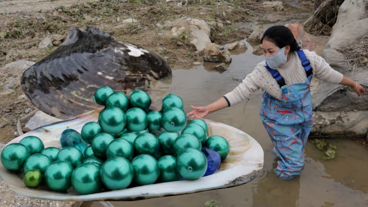The river clams in this mud and rock are very strong, no wonder the pearls are so big and smooth