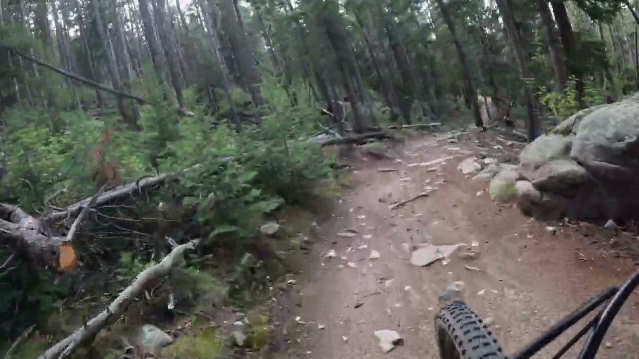 Evergreen Mountain Descent