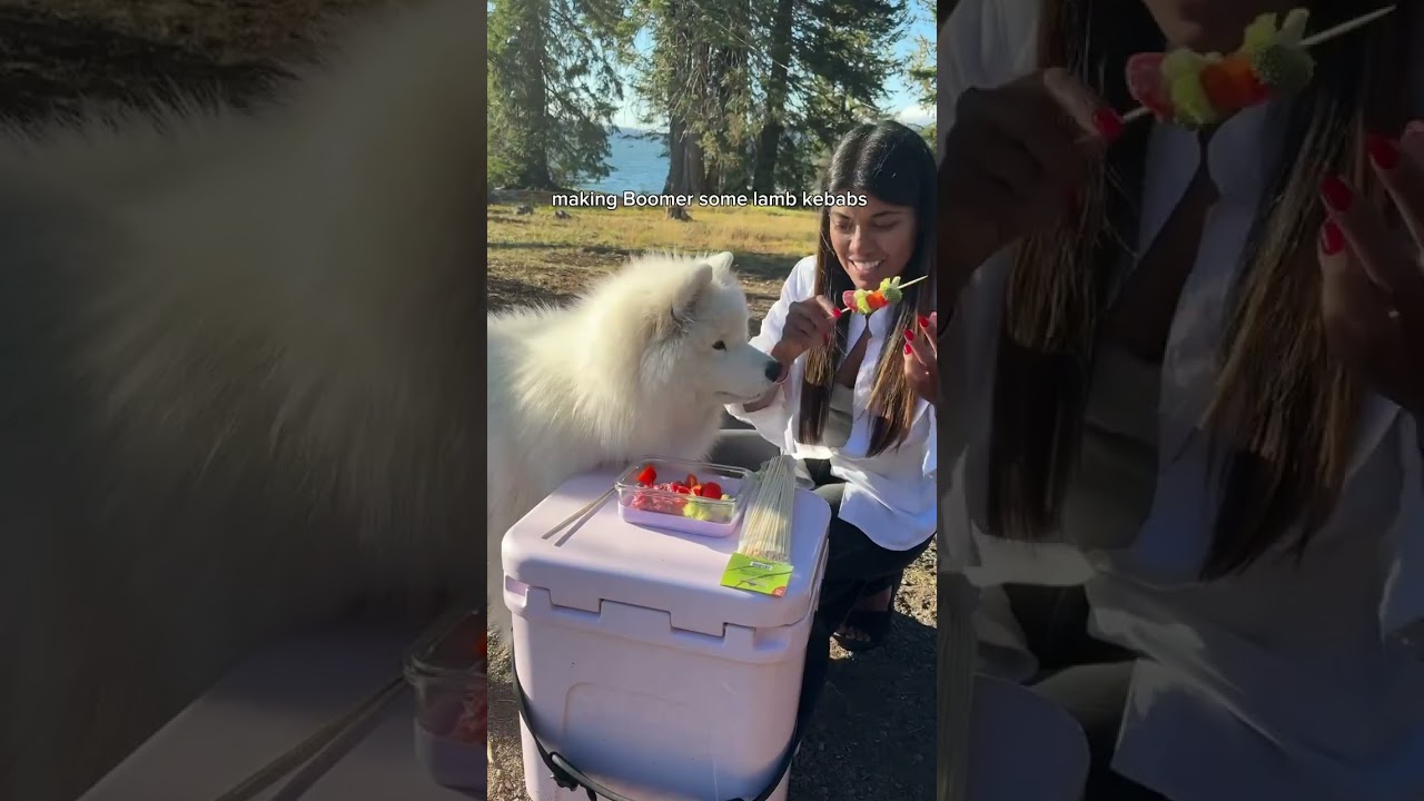 Every memory we make together now is so special 🥹❤️ #dog #samoyed #craterlake