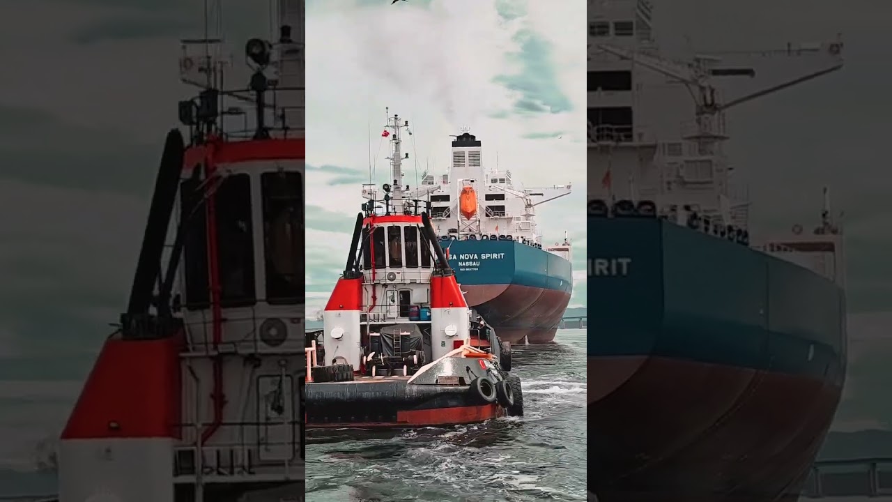 ASD TUG🌊🌊🚢