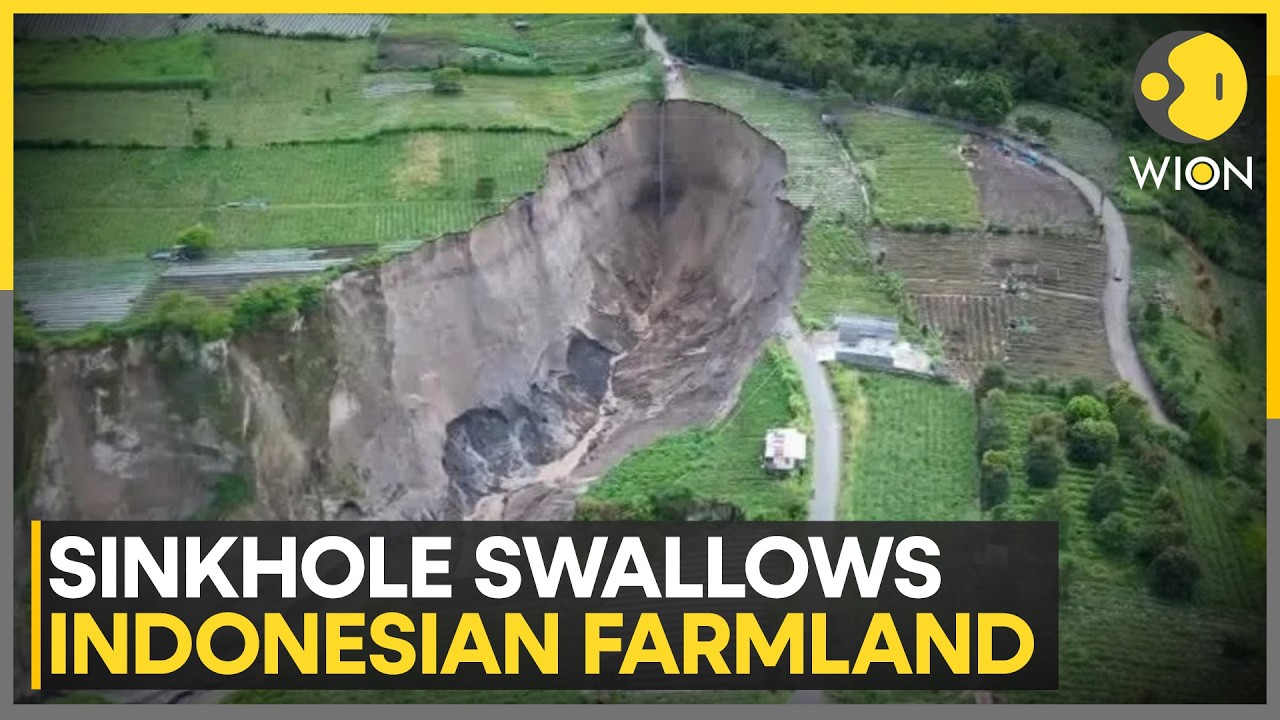 Indonesia: Massive Sinkhole Swallows Indonesian Farmland | WION NEWS