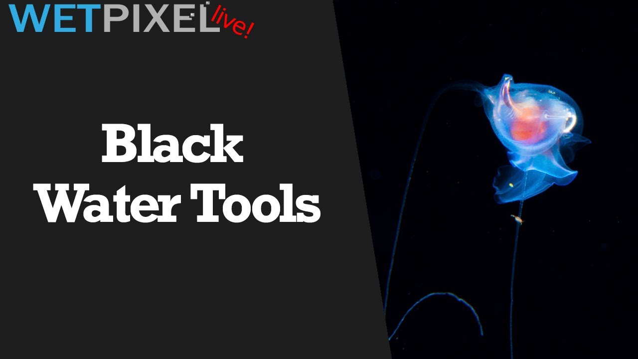 Tools for Black Water Underwater Photography