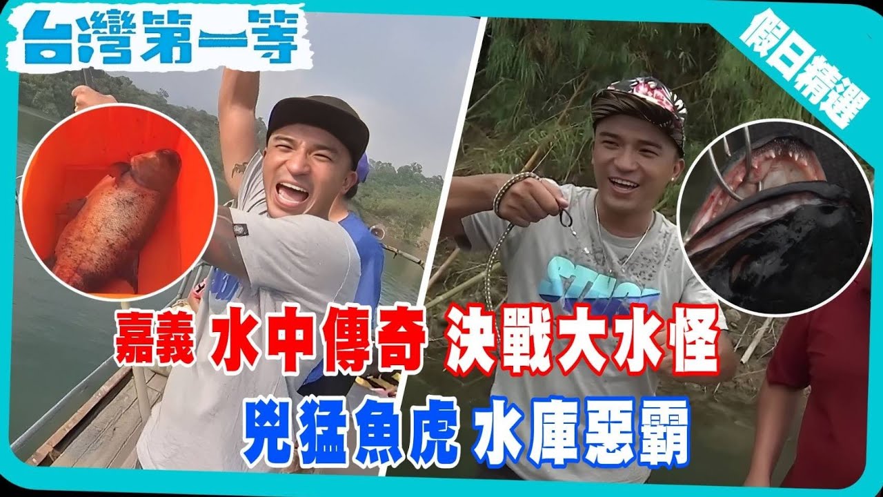 台灣第一等《水庫之王   黃金大頭鰱 / 水庫惡霸    外來種魚虎 / 設陷阱活捉  美味全上桌》假日精選【