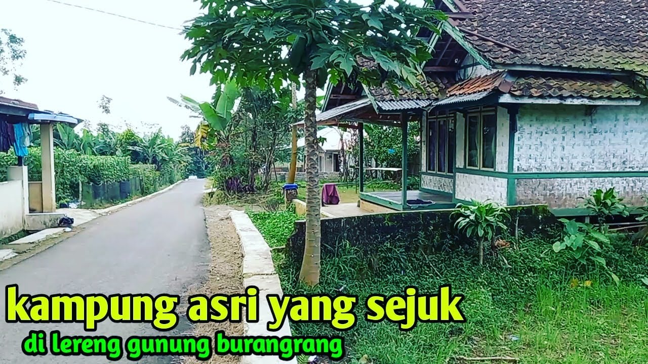 kampung asri yang sejuk