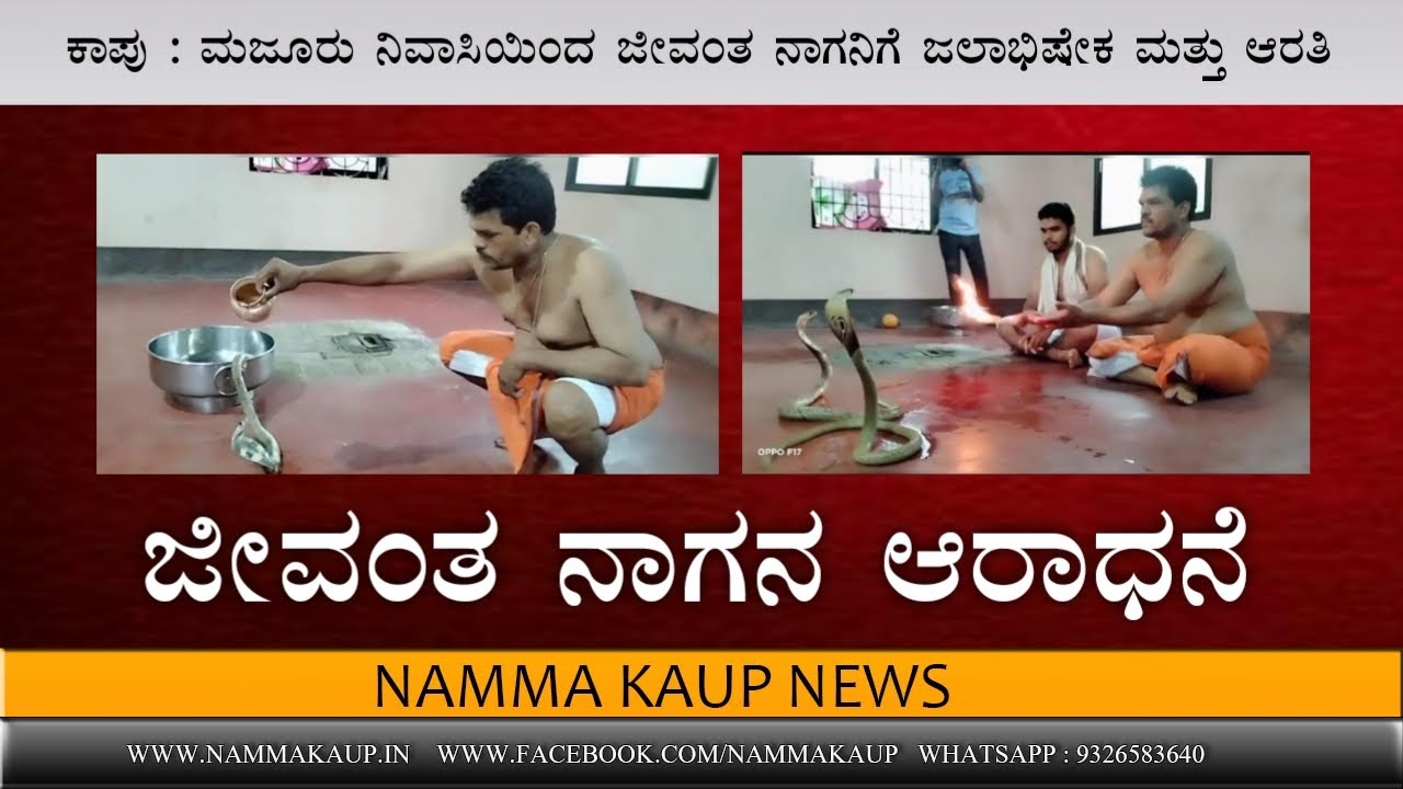 ಕಾಪು : ಮಜೂರು ನಿವಾಸಿಯಿಂದ ಜೀವಂತ ನಾಗನಿಗೆ ಜಲಾಭಿಷೇಕ ಮತ್ತು ಆರತಿ || Namma Kaup