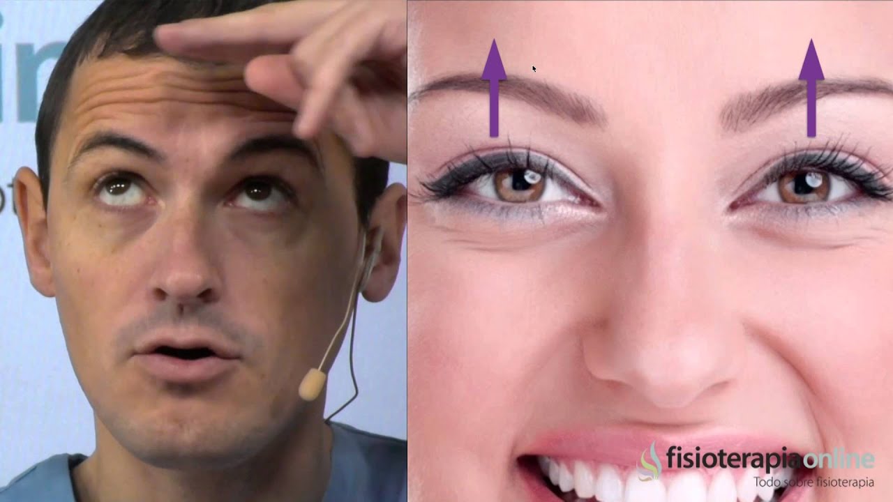 Tratamiento de la musculatura de los ojos - Fisioterapia Bilbao