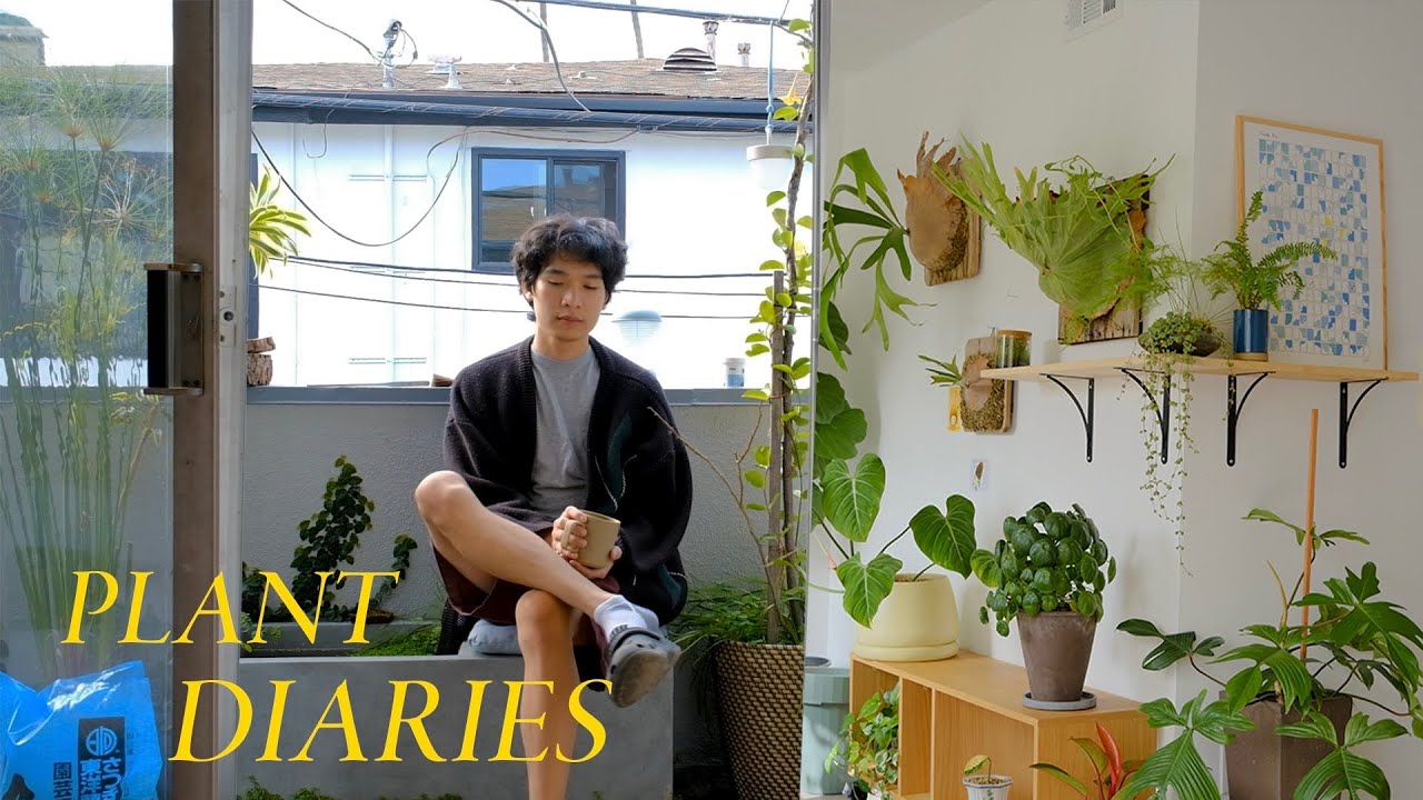 Plant Diaries | wholesome plant swap, apartment updates, plant care