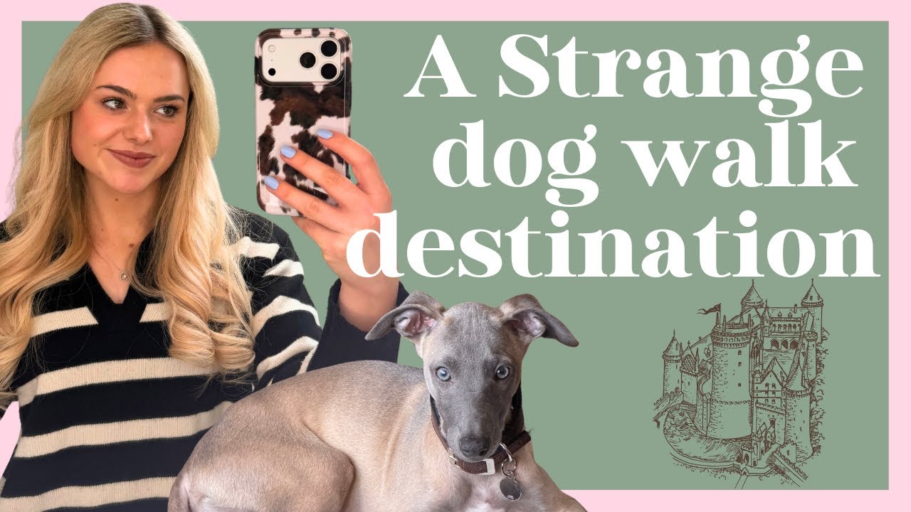 The Strangest Dog Walk Destination!