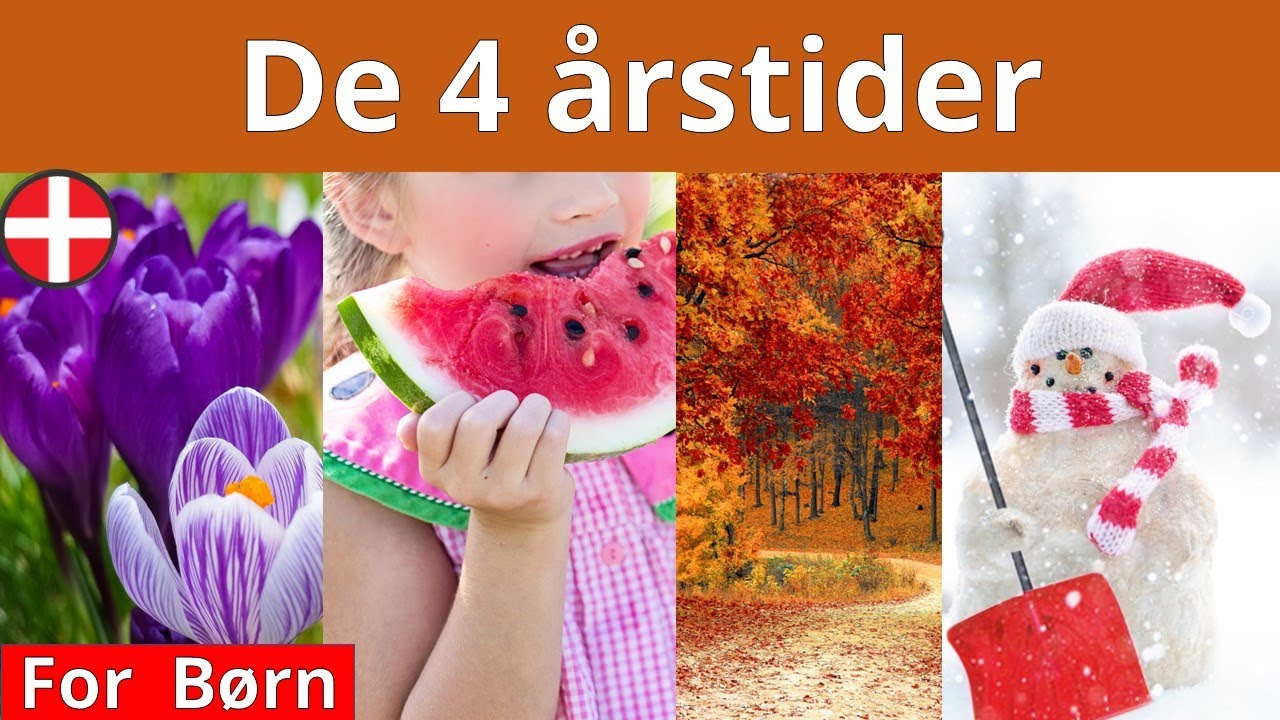 Sommer og vinter | Årstiderne for børn