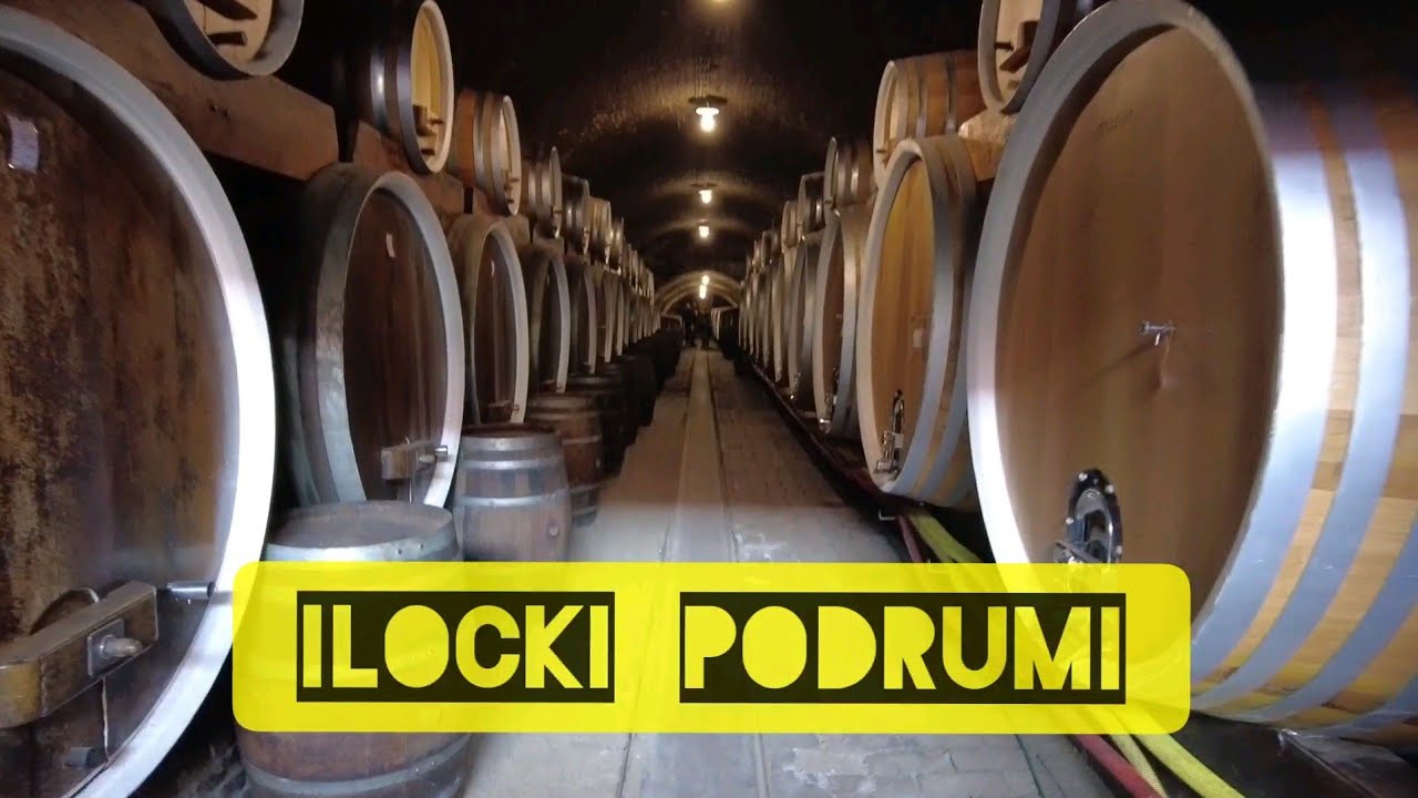 Ilocki Podrumi