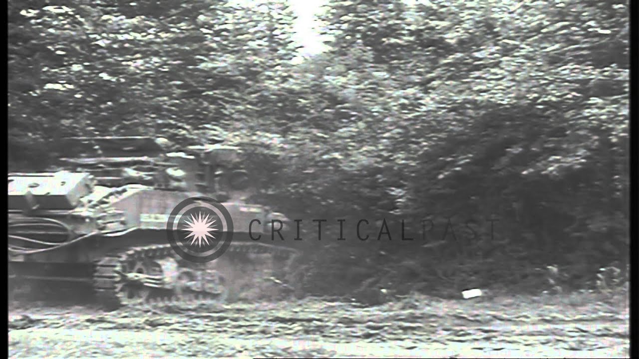A US M5A1 Stuart light tank with a hedge cutter runs through a hedge in Cerisy-la...HD Stock Footage
