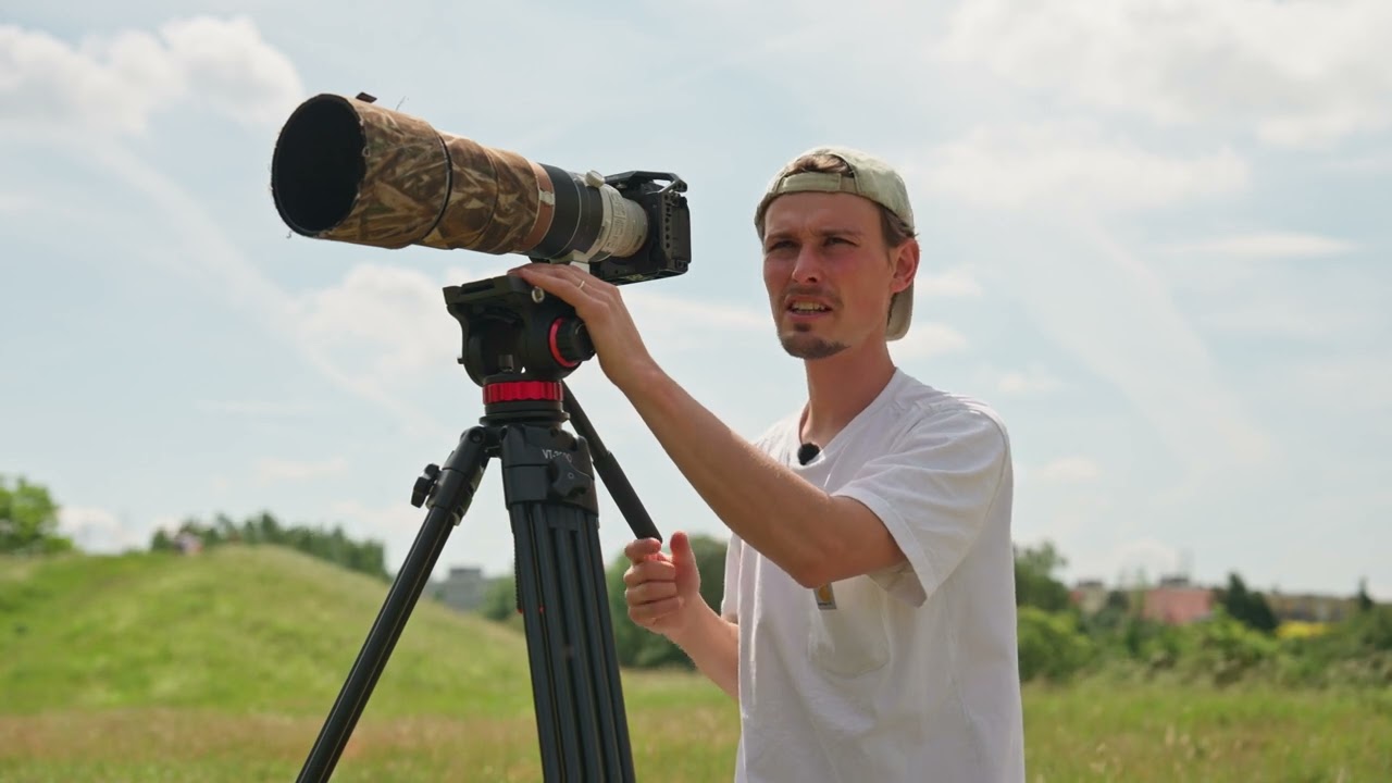 Na dosah: Kde můžete v Česku vidět kolonie syslů?