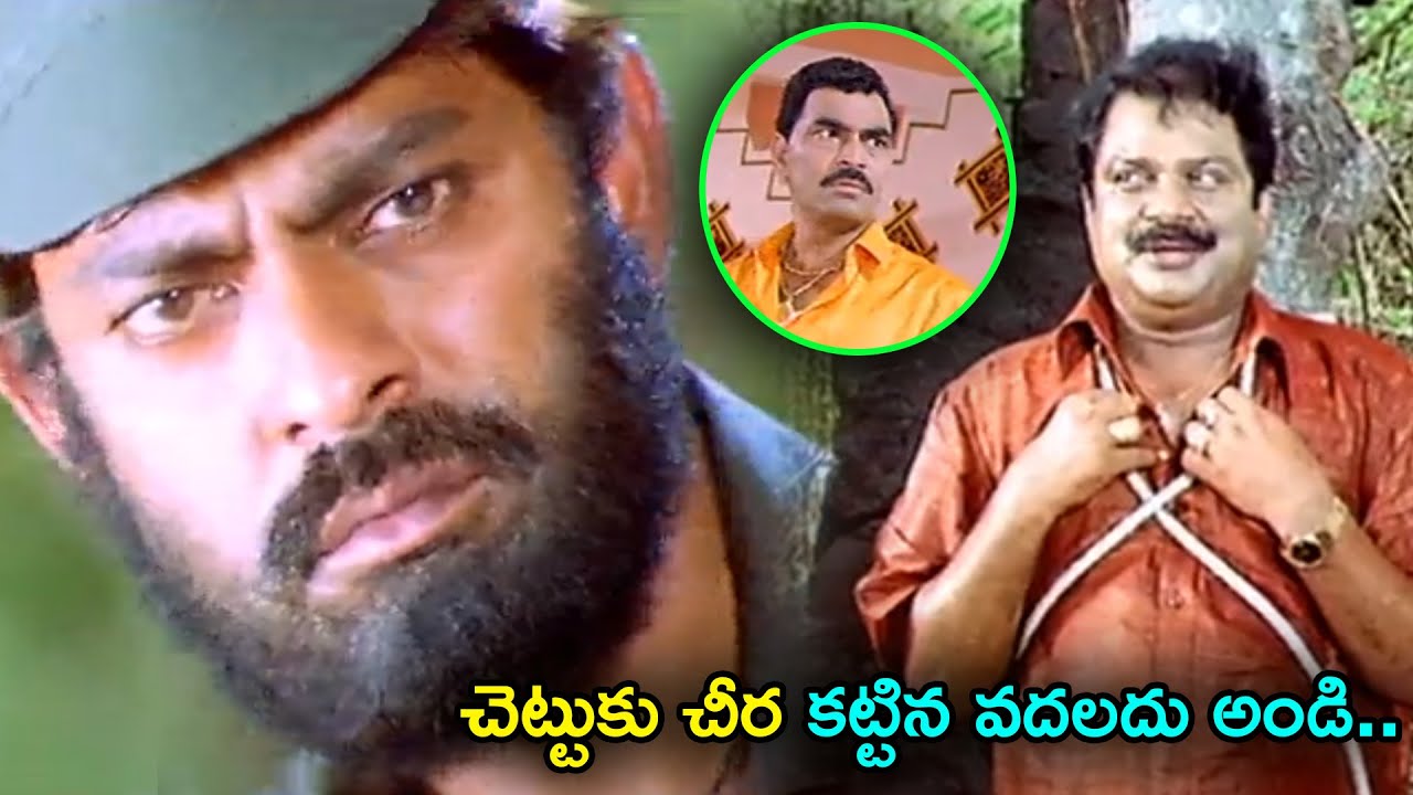 Dharmavarpu Subramanyam Excellent Comedy Scenes | Pandu Movie Scenes || TFC Telugu Cinemalu