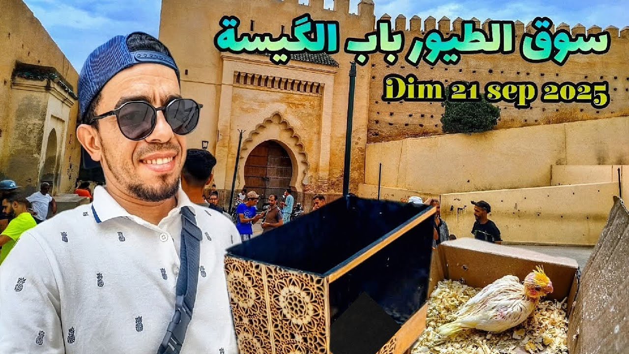 سوق باب الگيسة بفاس للطيور ، دجاج عصافير حمام marché oiseaux fes bab el guissa  dimanche 21sep 2025