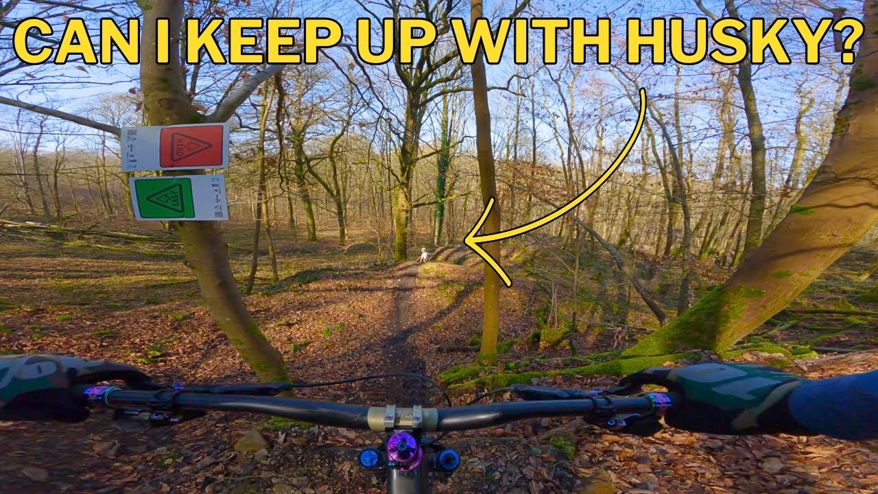 Riding the Only Black MTB Trail in Esneux
