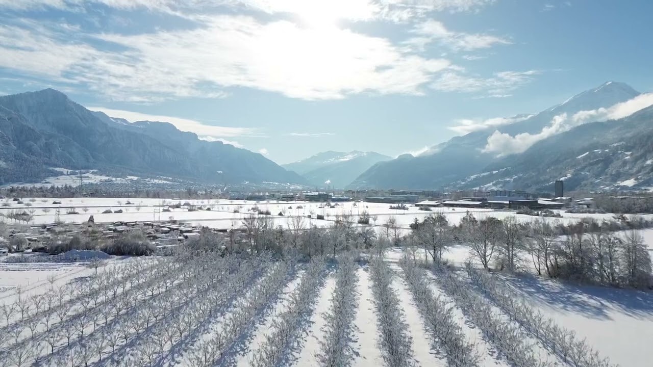 Winter in Malans, Graub&uuml;nden, Switzerland - part 2