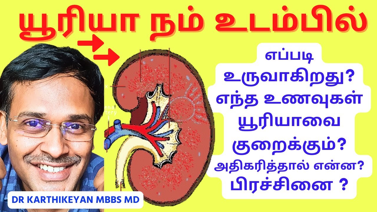 கட்டாயம் உடலுக்கு யூரியா குறித்து உங்களுக்கு தெரியவேண்டியவை | what is the function of urea