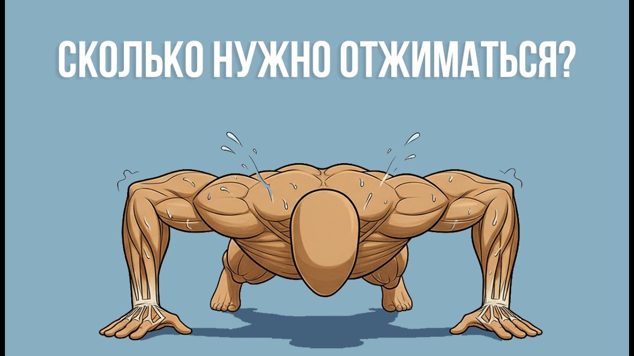Сколько Нужно Отжиматься?