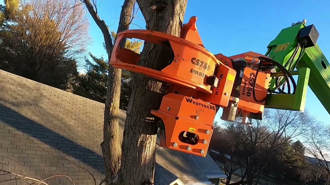 Merlo 5035 VS Maple next to house