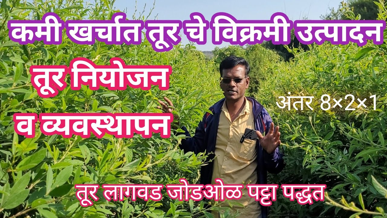तूर नियोजन व व्यवथापन।तूर लागवड जोडओळ पट्टा पद्धत।तूर लागवड।Tur lagwad