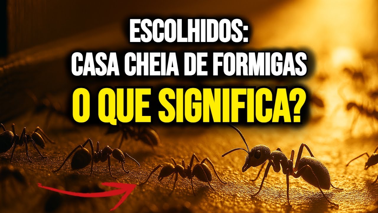 🙏 VEJA AGORA O SIGNIFICADO ESPIRITUAL DE FORMIGAS EM SUA CASA - NÃO É POR ACASO