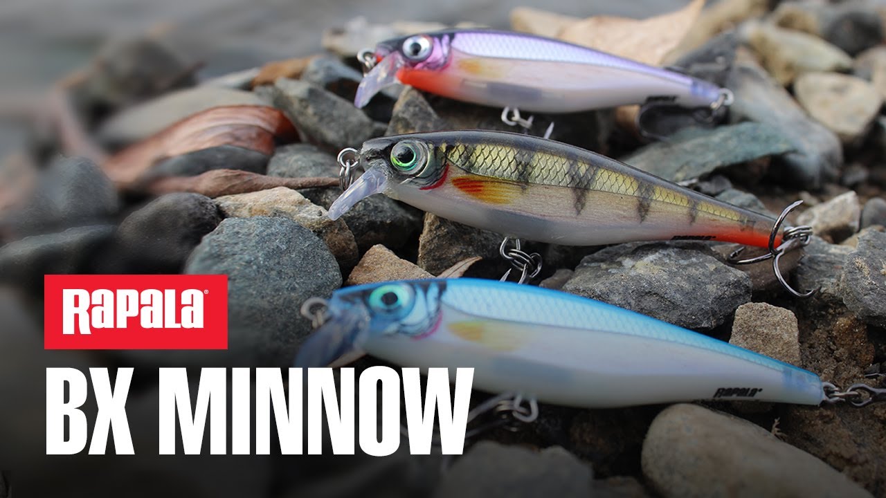 Rapala BX Minnow &ndash; поймай свой трофей!