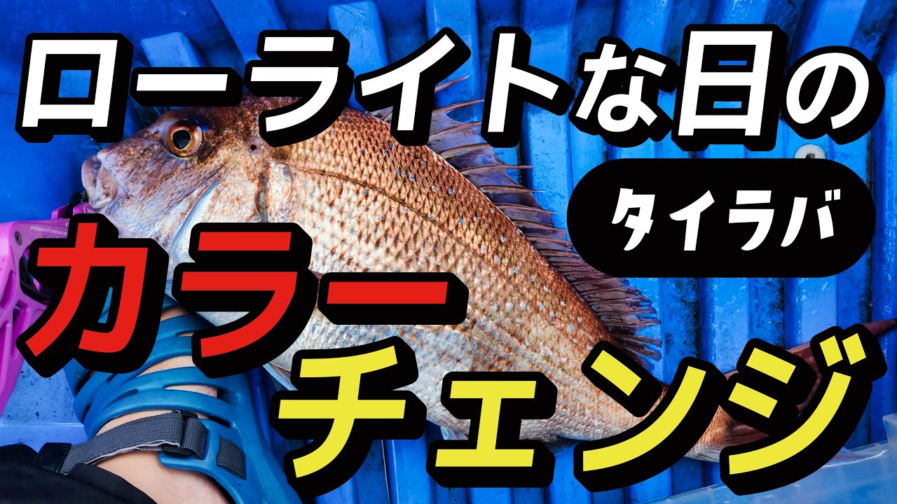 久々にBiC245に乗ってタイラバしたら凄かった【2馬力ミニボート】山口県