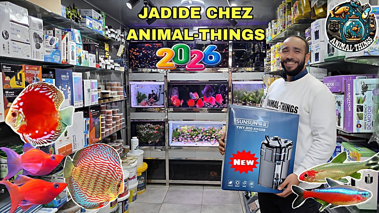 الجديد والجميل🔥عند ANIMAL-THINGS أجيو نتولعو فالجديد أسماك أكل لوازم ومعدات +معلومات فرجة ممتعة 