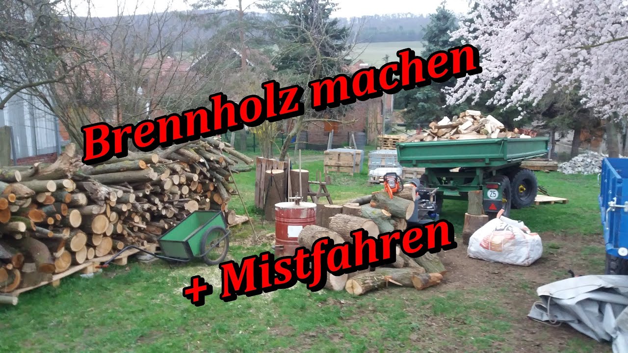 Brennholz machen, Mist holen | Mit Fendt und Schichtspalter