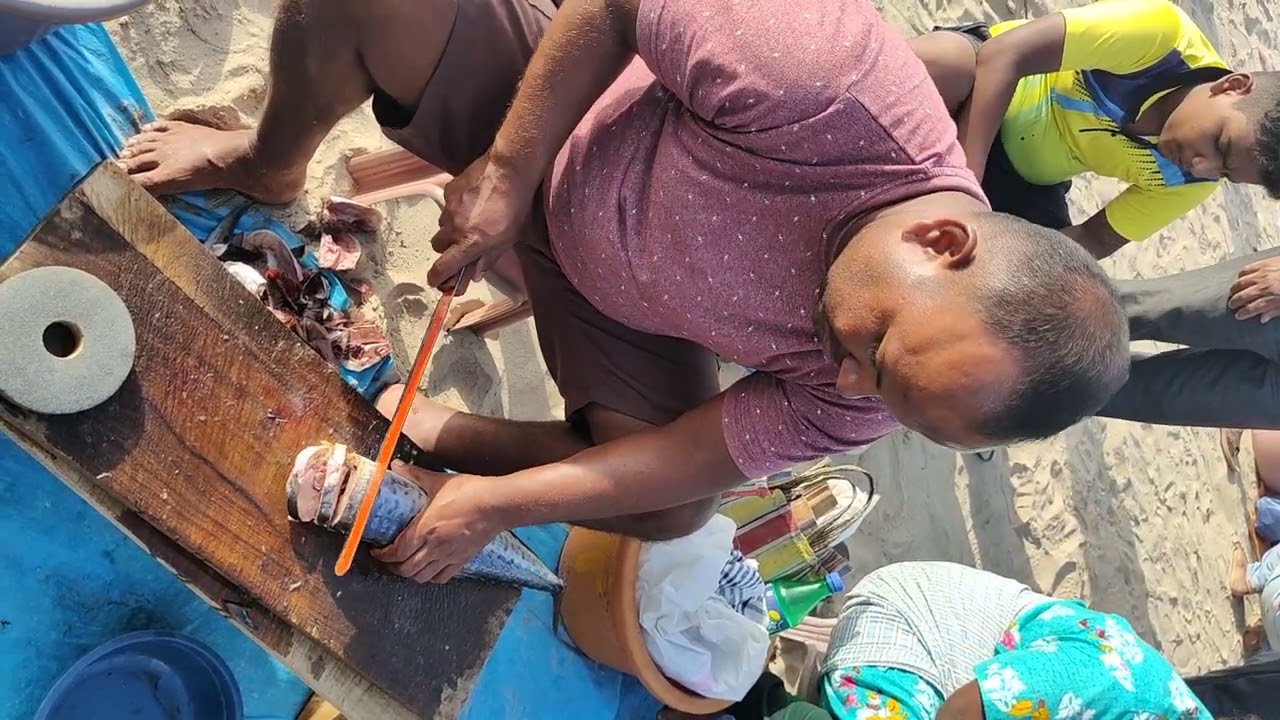 Malvan Dairies| Surmai Fish Cutting | Malvan Sindhudurg Fish Auction Market