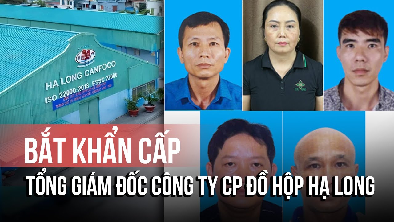 Bắt khẩn cấp Tổng giám đốc Công ty CP Đồ hộp Hạ Long