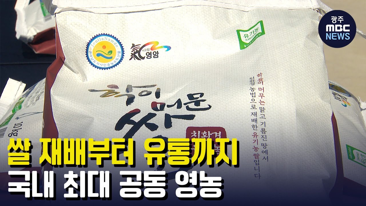 쌀 재배부터 유통까지..국내 최대 공동 영농(뉴스투데이 2023.03.16 광주MBC)