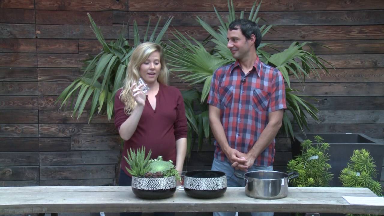 FGG: How to water an indoor succulent arrangement