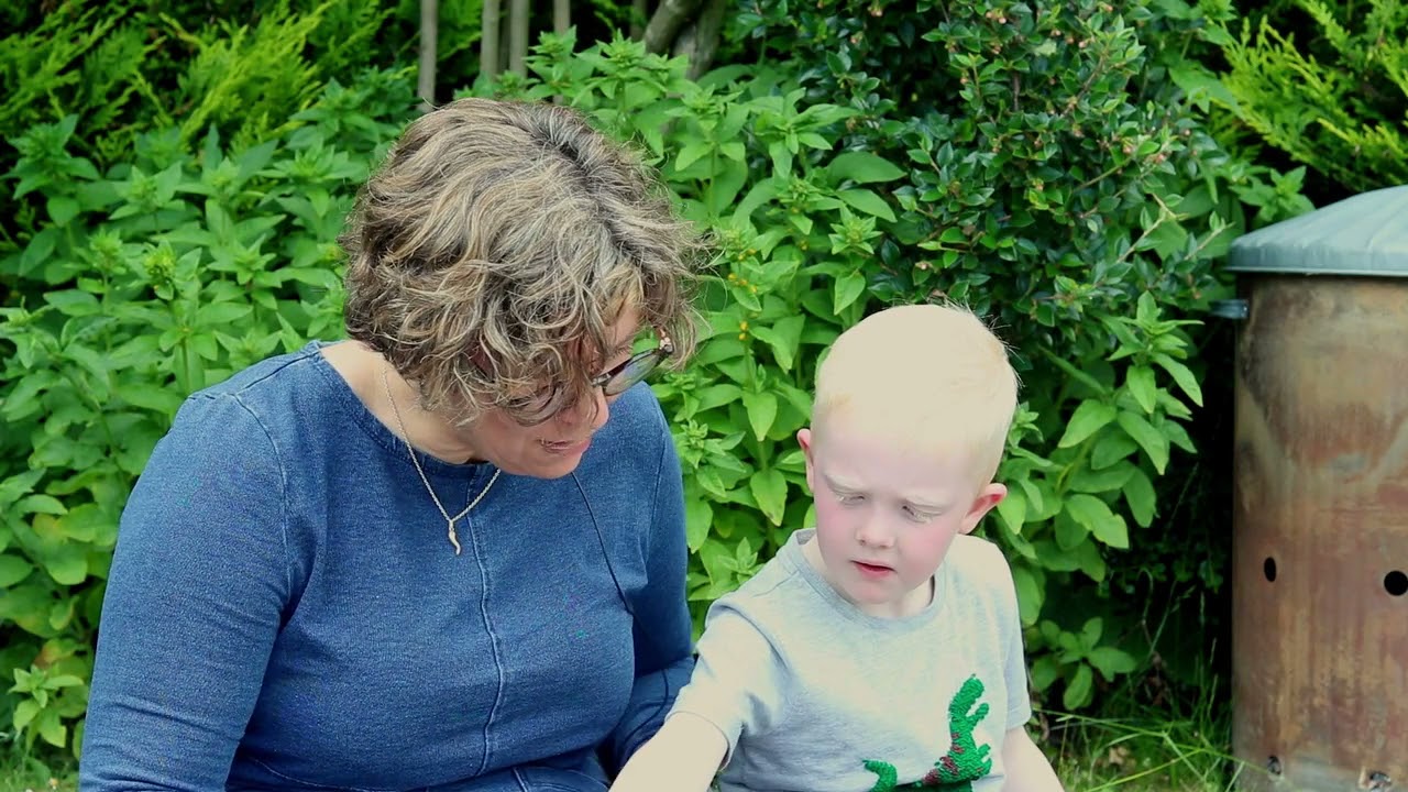 Arlo the Lion Who Couldn't Sleep by Catherine Rayner | The Bookbug Picture Book Prize 2022