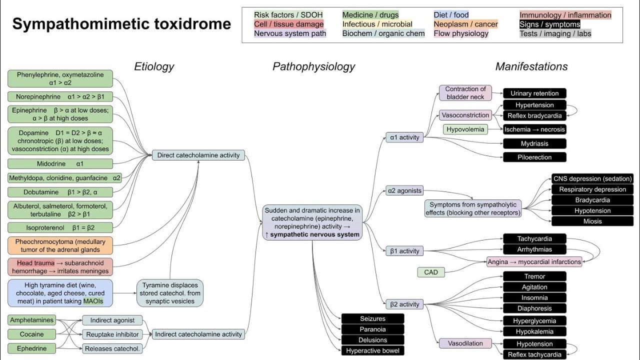 Sympathomimetic toxidrome (mechanism of disease)
