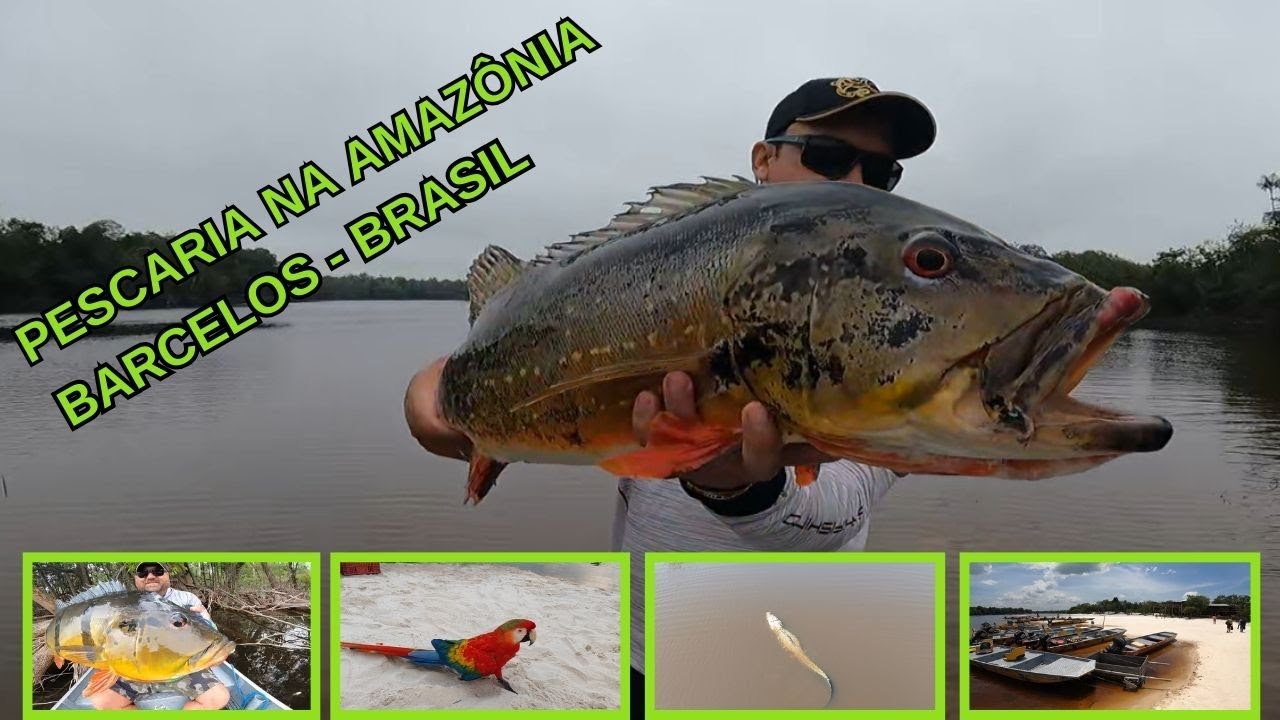 REI DA AMAZÔNIA - PESCARIA EM BARCELOS - BRASIL