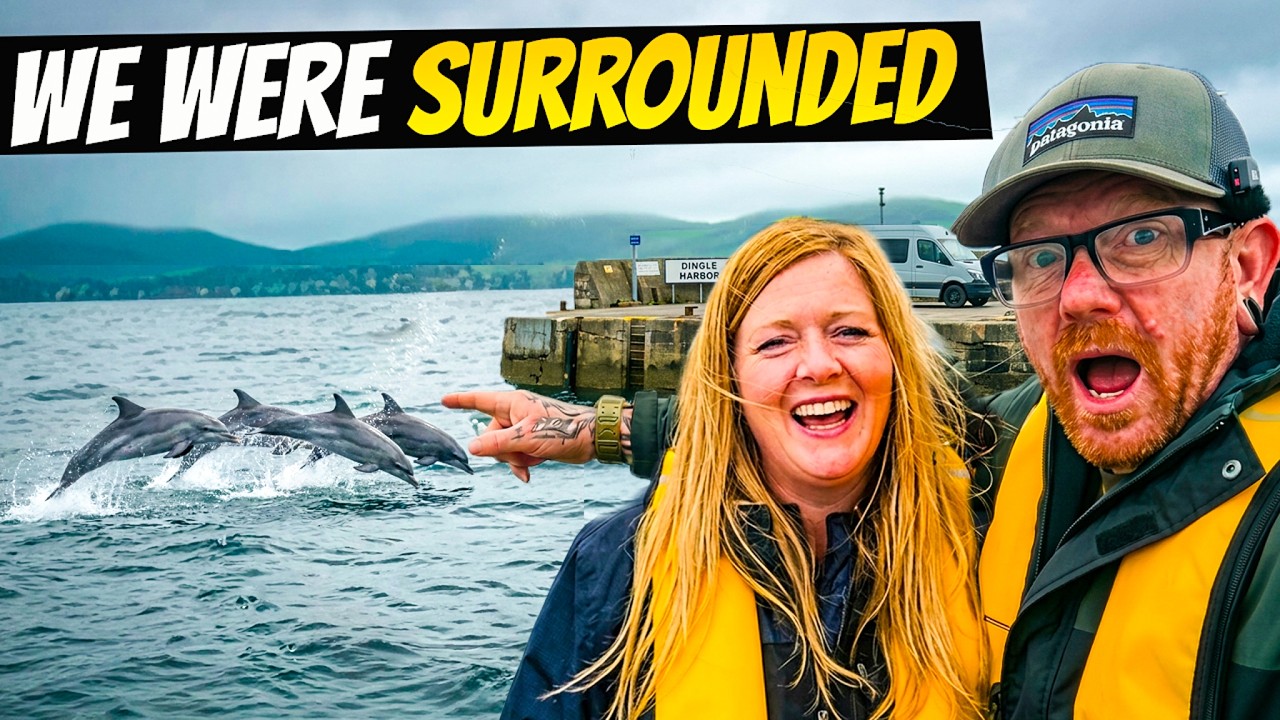Van Life in Dingle Got Crazy: Here's What We Didn't Expect to See