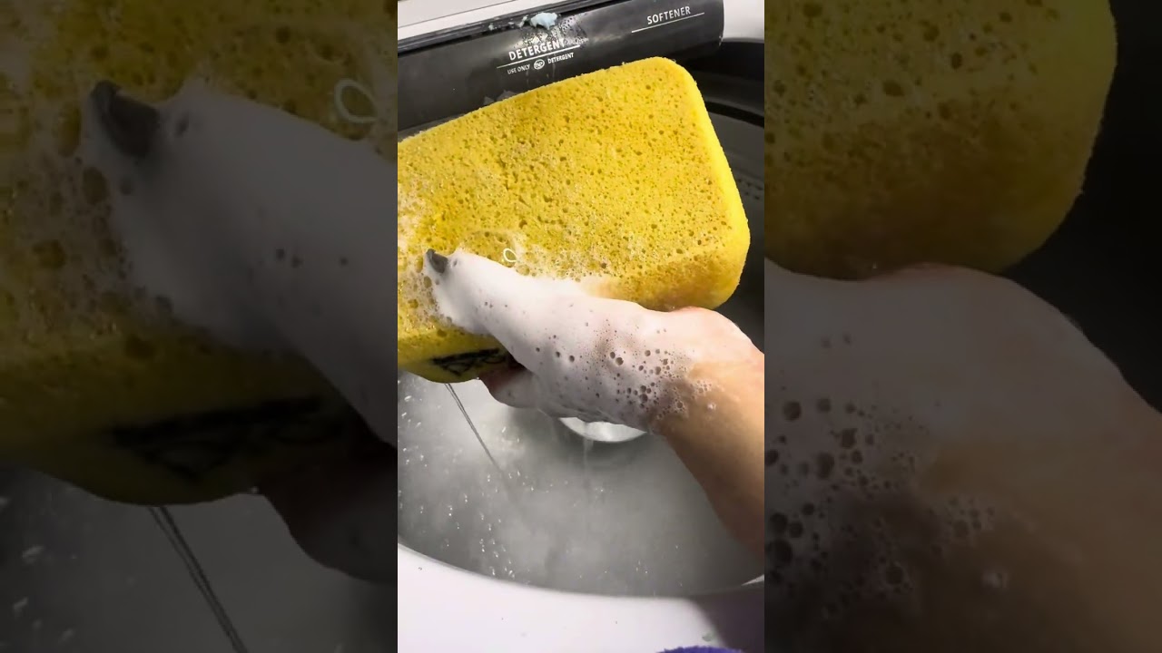 Powder play, paste super sudsy overload with lots of sponge squeezes!