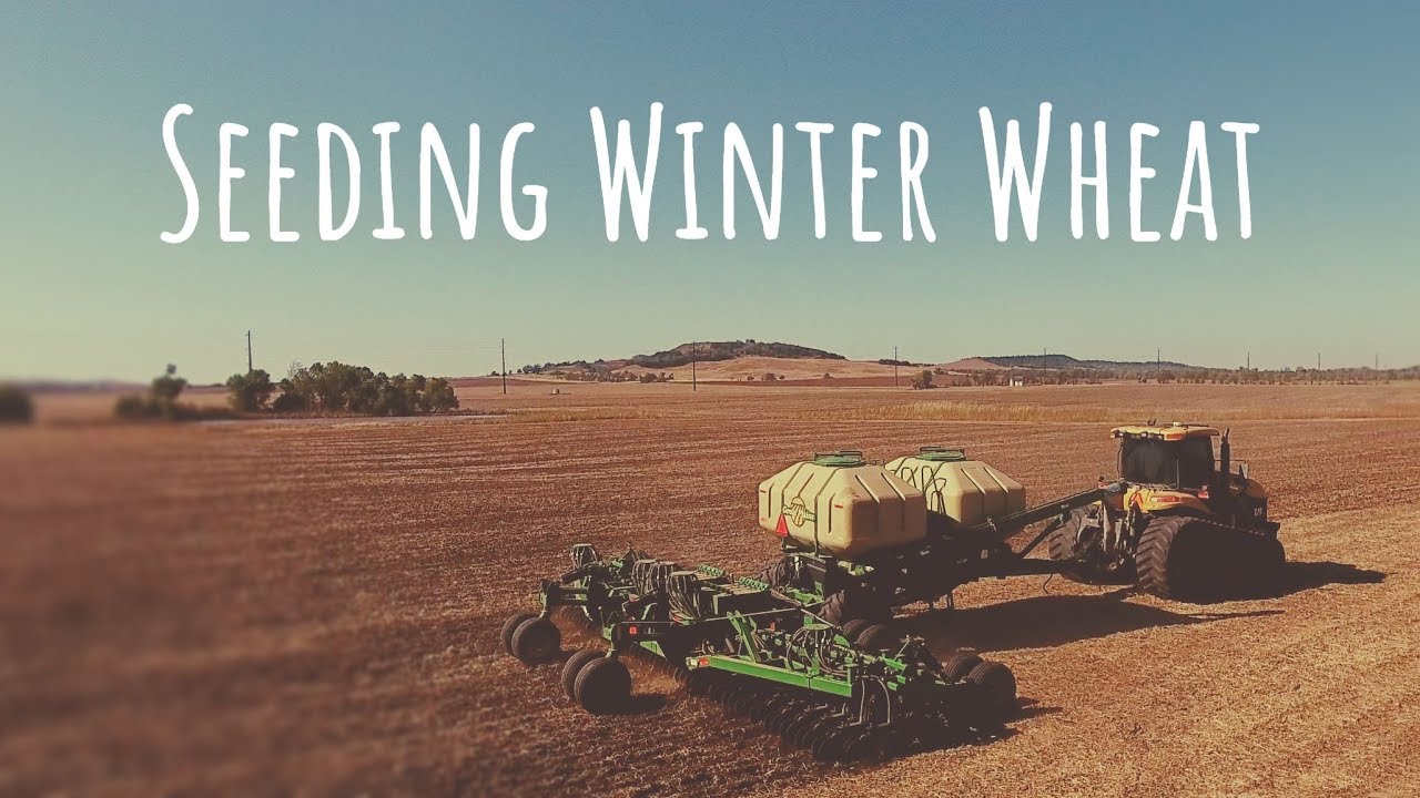 Planting Winter Wheat 🌾  Great Plains Air Seeder