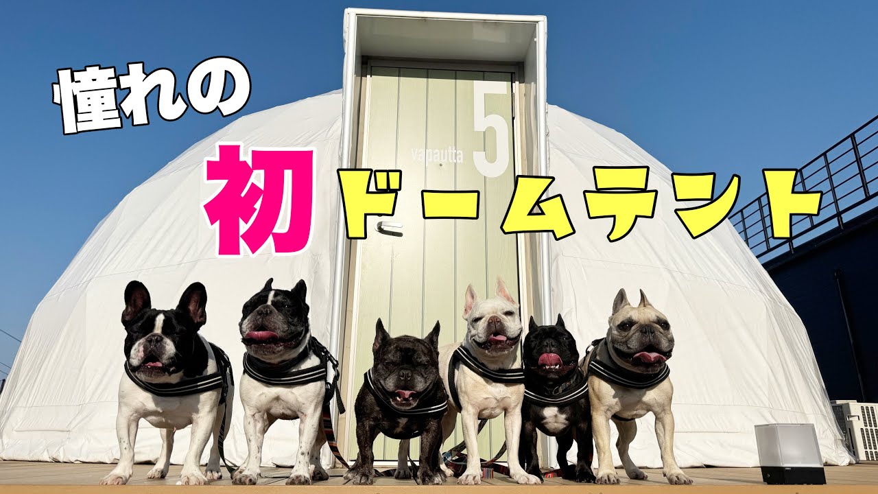 【ファームグランピングmoiそらやま】広～いドッグランで走りまくりの1泊旅行！