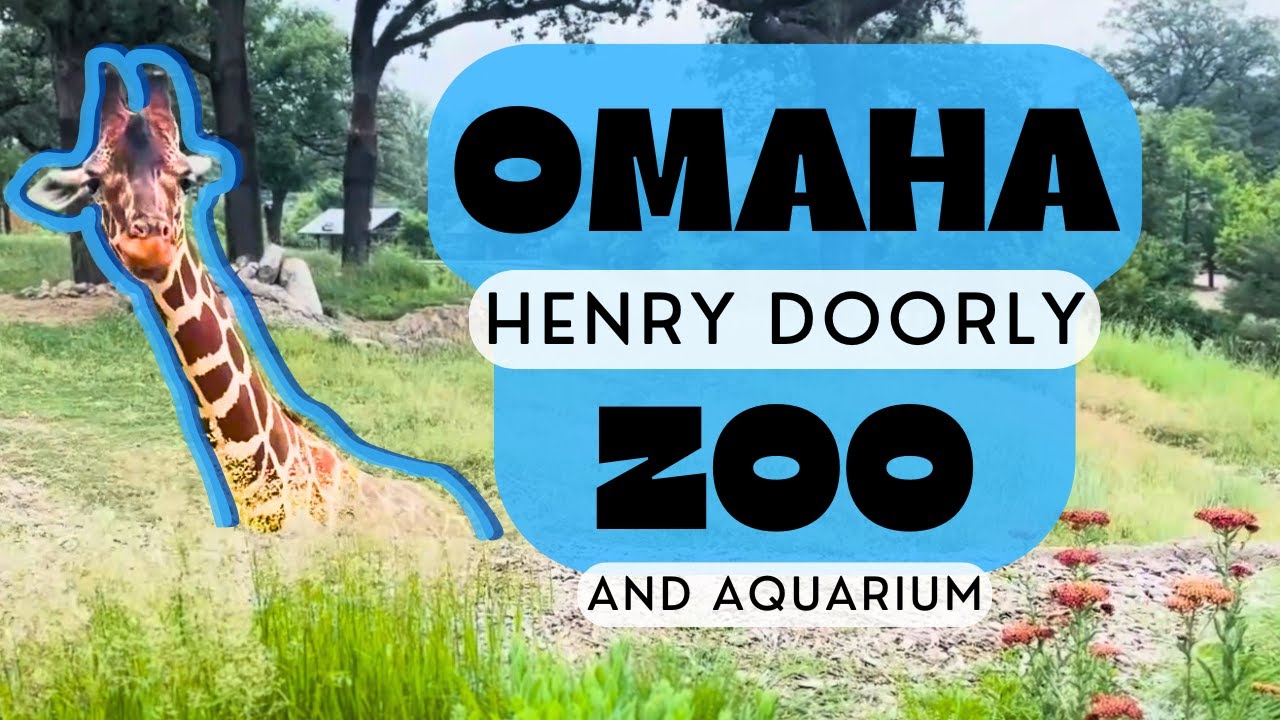 Let's go to the Zoo! - Omaha Henry Doorly Zoo & Aquarium