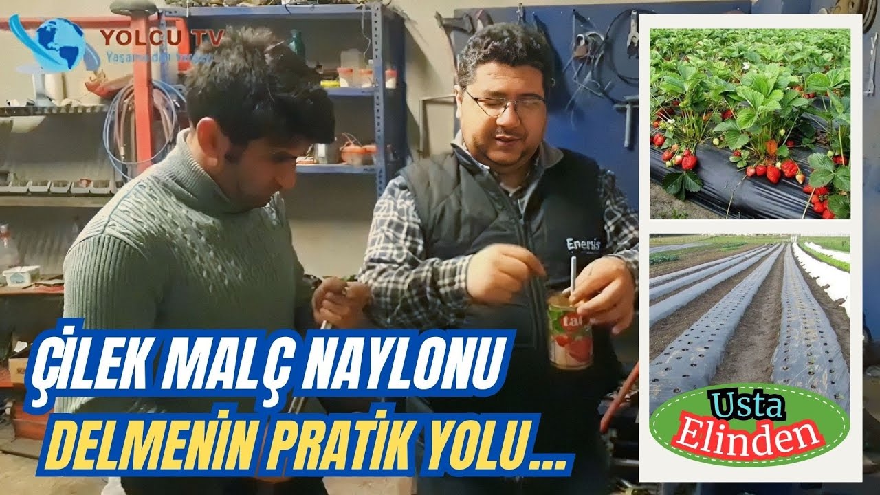 Çilek Malç Naylonu Delmenin Pratik Yolu...