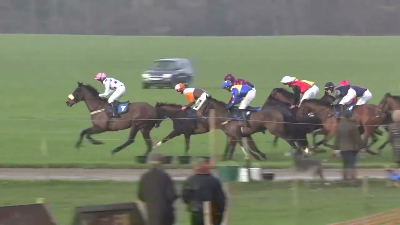 Amber Dancer - 2nd on debut on 22nd February