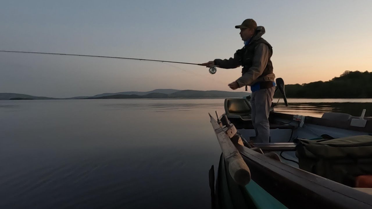Mayfly fishing for brown trout on Derg  Ireland,on the river Shannon , using the  Spent Gnat dryfly.